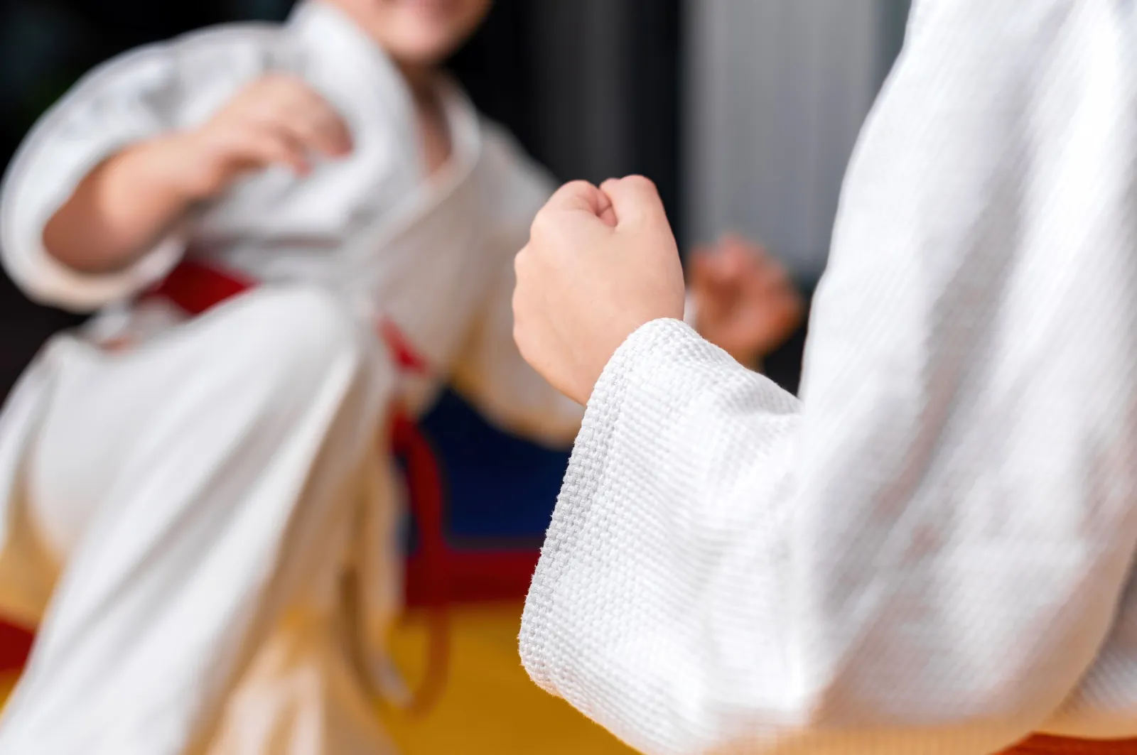 Welcome to Ronin Martial Arts