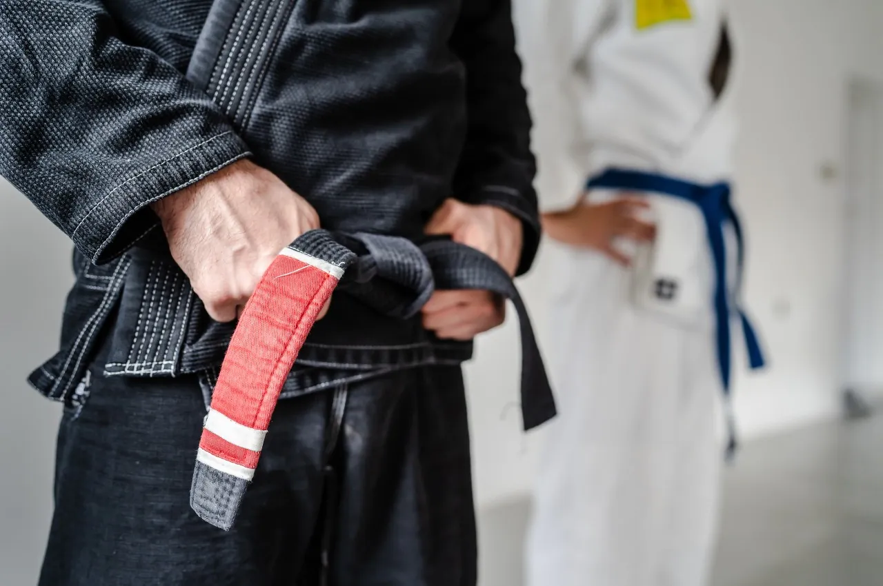 BJJ self-defense training at Ronin Martial Arts